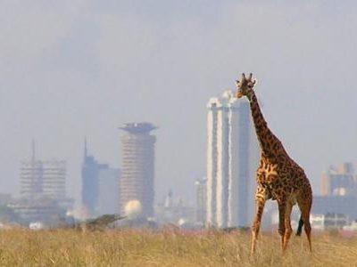 NAIROBI NATIONAL PARK